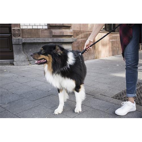 Set obojek a vodítko pro psy GoLeyGo, černé - vel. S, max. 15 kg Set GoLeyGo černé, 10 mm, max. 15 kg, vel. S