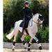 Dečka drezurní Premier Equine, černo-červ. s ber. Dečka drezurní Premier Equine, černo-červ. s ber.