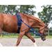 Nylonové vyvazovačky QHP, 7-D kroužků - modré, vel. Pony Vyvazovačky nylon QHP, 7- D kroužků, modré, Pony