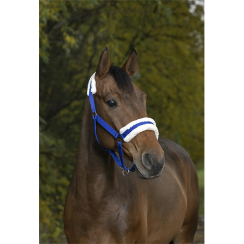 Nylonová ohlávka Ekkia s beránkem, královská modrá - vel. Pony Ohlávka 2xpodl. ber Ekkia, král. modrá, Pony