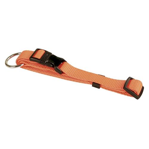 Nylonový obojek pro psa, oranžový, 20-35 cm Obojek oranžový, nylon, 20-35 cm