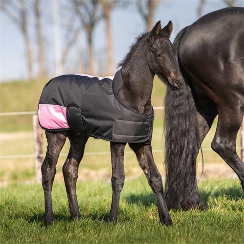 Nepromokavá deka Harrys Horse 200g, pro hříbata - černo-růžová Deka neprom. HH Two Tone 200gr, hříběcí, černo-růž