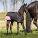 Nepromokavá deka Harrys Horse 200g, pro hříbata - černo-růžová Deka neprom. HH Two Tone 200gr, hříběcí, černo-růž