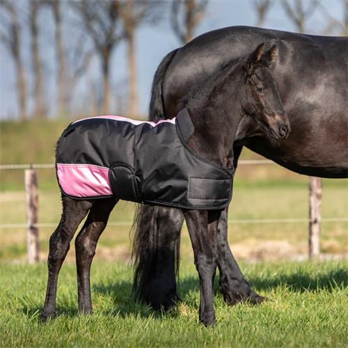 Nepromokavá deka Harrys Horse 200g, pro hříbata - černo-růžová Deka neprom. HH Two Tone 200gr, hříběcí, černo-růž