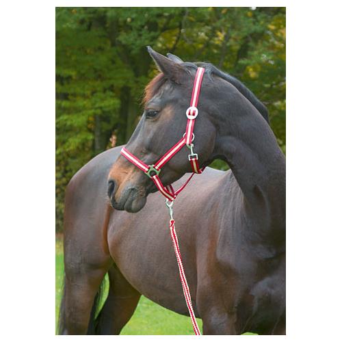 Nylonová ohlávka Hippo, vínovo-béžová - 1 - pony Ohlávka nylonová  Hippo,barva vínovo-béžová