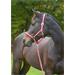 Nylonová ohlávka Hippo, vínovo-béžová - 1 - pony Ohlávka nylonová  Hippo,barva vínovo-béžová