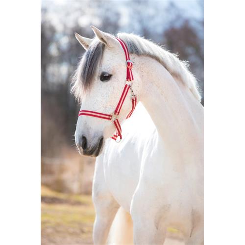 Nylonová ohlávka Hippo, vínovo-béžová - 1 - pony Ohlávka pro koně nylonová Hippo, vínovo-béžová, vel. 1