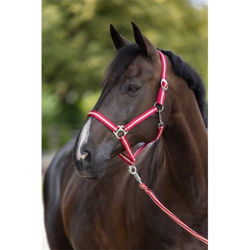 Nylonová ohlávka Hippo, vínovo-béžová - 1 - pony Ohlávka pro koně nylonová Hippo, vínovo-béžová, vel. 1