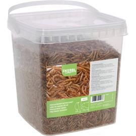 Mouční červy, sušení 900g