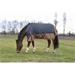 Nepromokavá deka Equi-theme Aisance, 0 gr, šedo-hnědá - vel. 145 cm Deka nepr. EKKIA Aisance, 0g, šedo-hnědá, 145 cm