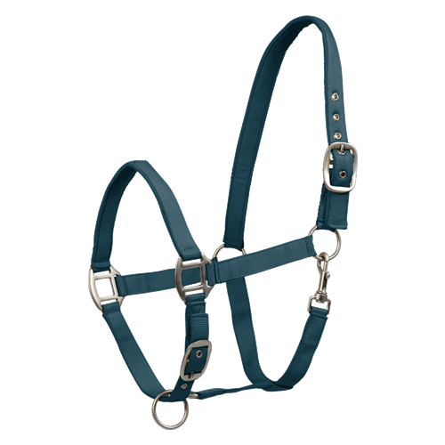Ohlávka pro koně Waldhausen AW 2025/26 Satin - Vel. Pony Ohlávka Waldhausen Satin 25/26, petrolejová, vel. Pony