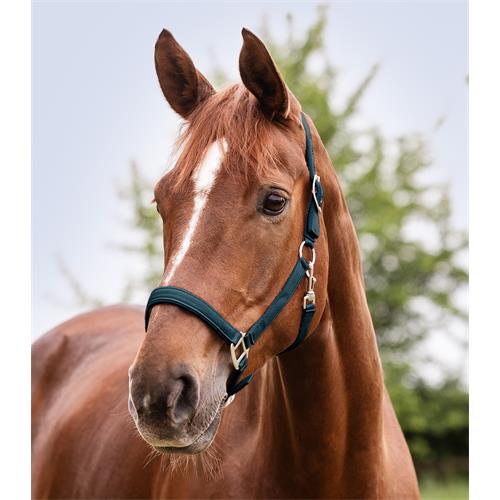 Ohlávka pro koně Waldhausen AW 2025/26 Satin - Vel. Pony Ohlávka Waldhausen Satin 25/26, petrolejová, vel. Pony