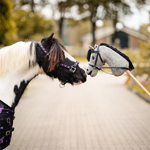 Ohlávka QHP AW 25/26 Lize, černo-fialová - vel. Pony Ohlávka QHP AW 25/26 Lize, černo-fialová, vel. Pony