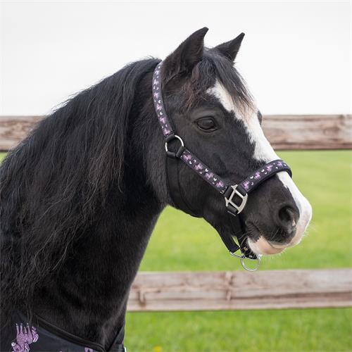 Ohlávka QHP AW 25/26 Lize, černo-fialová - vel. Pony Ohlávka QHP AW 25/26 Lize, černo-fialová, vel. Pony