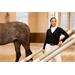 Dámský závodní svetr Pikeur Athleisure AW 25 - vel. 36/38 Svetr závodní Pikeur Athleisure AW25, vel. 36/38