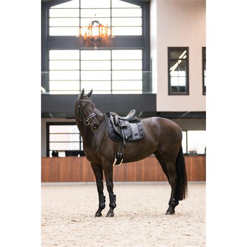 Přední šlachovky IRH Lovely, černé - vel. Pony Šlachovky přední Imperial Lovely, černé, pony