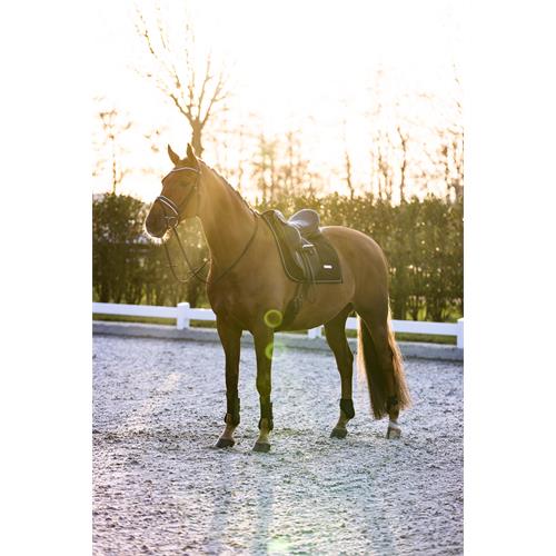 Přední šlachovky IRH Lovely, černé - vel. Pony Šlachovky přední Imperial Lovely, černé, pony