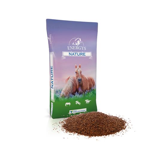 Lněné semínko, ENERGYS, celé, 10kg Lněné semínko, ENERGYS, celé, 10kg