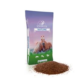 Lněné semínko, ENERGYS, celé, 10kg