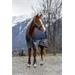 Nepromokavá deka Equitheme Tyrex AW 25/26, 300g, modro-šedá - vel. 145 cm Nepromokavá deka Equithéme, 300g, modro-šedá, 145cm
