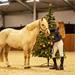 Jezdecké podkolenky QHP Christmas, 2ks, se sněhuláky - vel. 39-42 Podkolenky QHP Christmas 2 ks, sněhuláci, vel. 39-42