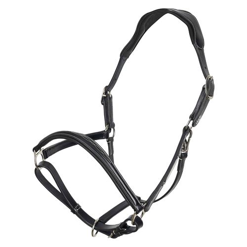 Kožená ohlávka HV Polo Legacy - černá, vel. Full Ohlávka kožená HVP Legacy, černá, vel. Full