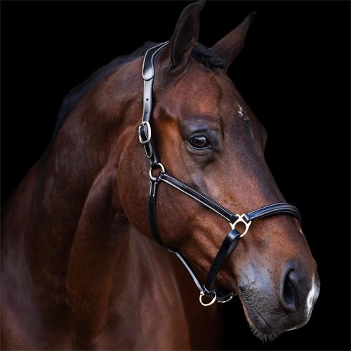 Kožená ohlávka HV Polo Legacy - černá, vel. Full Ohlávka kožená HVP Legacy, černá, vel. Full