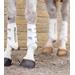 Chrániče Premier Equine Velox Air, bílé - vel. M Chrániče Premier Equine Velox Air, bílé, vel. M