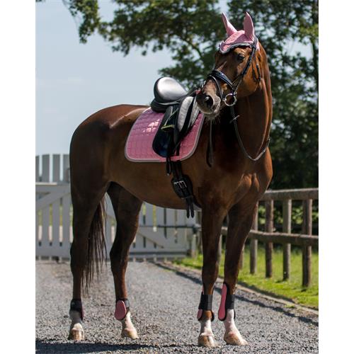 Přední chrániče QHP, světle růžové - vel. Pony Chrániče přední QHP, růžové, vel. Pony