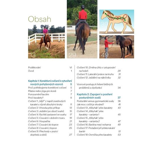 Kniha Korektivní cvičení pro koně Kniha Korektivní cvičení pro koně