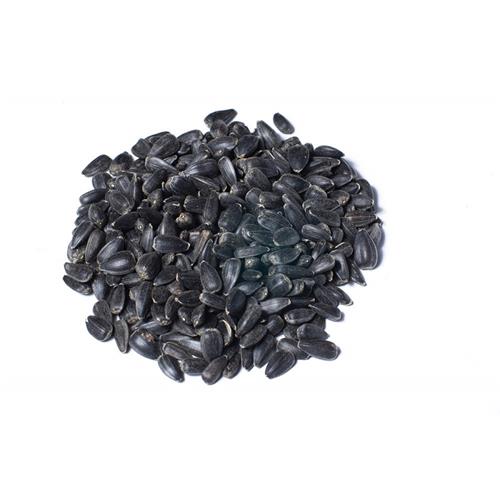 Slunečnice černá - 1 kg Slunečnice černá Avicentra.