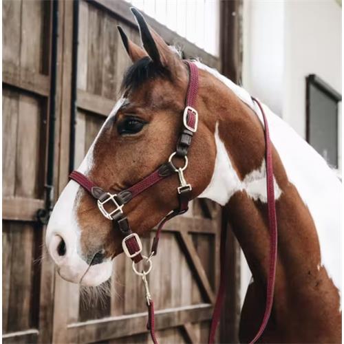 Ohlávka pro koně Kentucky Nylon - vínová, vel. Full Ohlávka pro koně Kentucky Nylon, vínová, vel. Full