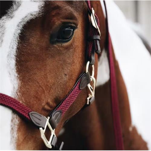 Ohlávka pro koně Kentucky Nylon - vínová, vel. Full Ohlávka pro koně Kentucky Nylon, vínová, vel. Full