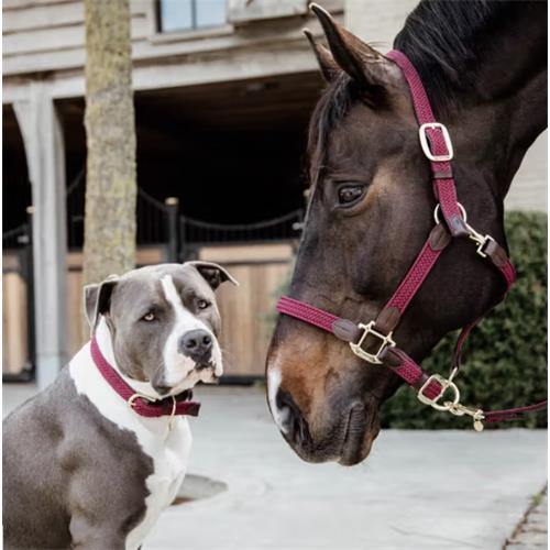 Ohlávka pro koně Kentucky Nylon - vínová, vel. Full Ohlávka pro koně Kentucky Nylon, vínová, vel. Full