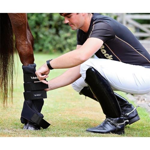 Termobandáže Back on Track Royal, modré - vel. L Termobandáže Back on Track Royal, modré, vel. L