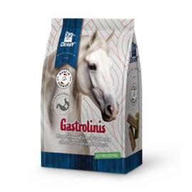 Pamlsky pro koně Derby Gastro