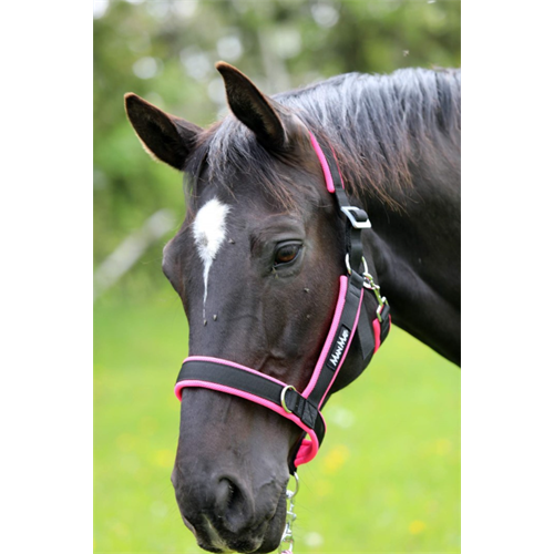 Stájová ohlávka MANMAT, směs barev - vel. S - Pony Ohlávka stájová, MANMAT, směs barev, vel. S - Pony