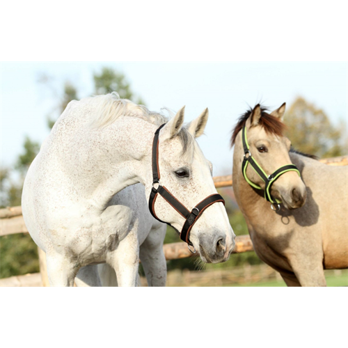 Stájová ohlávka MANMAT, směs barev - vel. S - Pony Ohlávka stájová, MANMAT, směs barev, vel. S - Pony