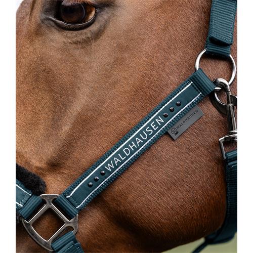 Ohlávka pro koně Waldhausen AW 2025/26 Elegant, petrolejová - vel. Cob Ohlávka Waldhausen Elegant AW25/26, petrolejová, vel. Cob