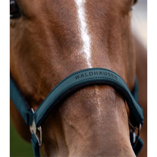 Ohlávka pro koně Waldhausen AW 2025/26 Athletic, petrolejová - vel. Cob Ohlávka Waldhausen Athletic AW25/26, petrolejová, vel. Cob