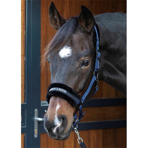 Nylonová ohlávka s beránkem Harrys Horse Lyrics, tmavě modrá - vel. Cob Ohlávka HH Lyrics s beránkem, modrá, vel. Cob