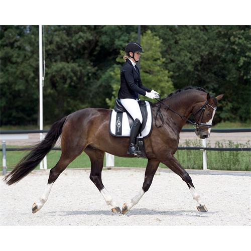 Dámské jezdecké sako QHP Noven, černé - vel. 36 Sako jezdecké QHP Noven, černé, vel. 36