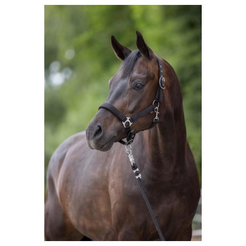 Ohlávka Covalliero Dexter, černá - vel. Pony Ohlávka podložená Dexter, černá, Pony