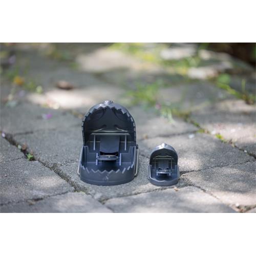 Pastička na myši mouseStop, 2 ks Pastička na myši mouseStop, 2 ks