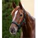 Ohlávka pro koně Waldhausen AW 2025/26 Athletic, petrolejová - vel. Cob Ohlávka Waldhausen Athletic AW25/26, petrolejová, vel. Cob