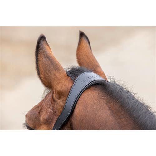 Ohlávka Covalliero Cordano Deluxe, SS 26, černá - vel. Cob Ohlávka Covalliero Cordano Deluxe, černá, vel. Cob