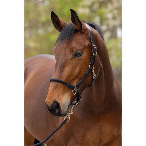 Ohlávka Covalliero Cordano Deluxe, SS 26, černá - vel. Full Ohlávka Covalliero Cordano Deluxe, černá, vel. Full