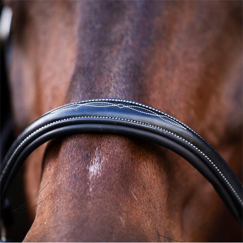 Kožená ohlávka HV Polo Legacy - černá, vel. Cob Ohlávka kožená HVP Legacy, černá, vel. Cob