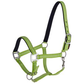 Nylonová ohlávka Covalliero Mustang, limetková