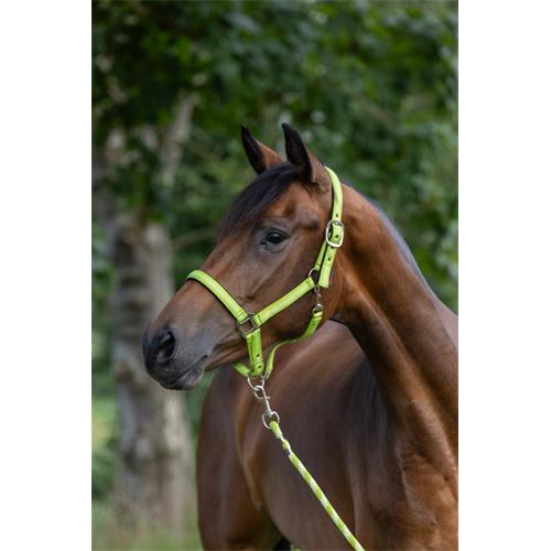 Nylonová ohlávka Covalliero Mustang, limetková - vel. Cob Ohlávka Covalliero Mustang, limetková, vel. Cob